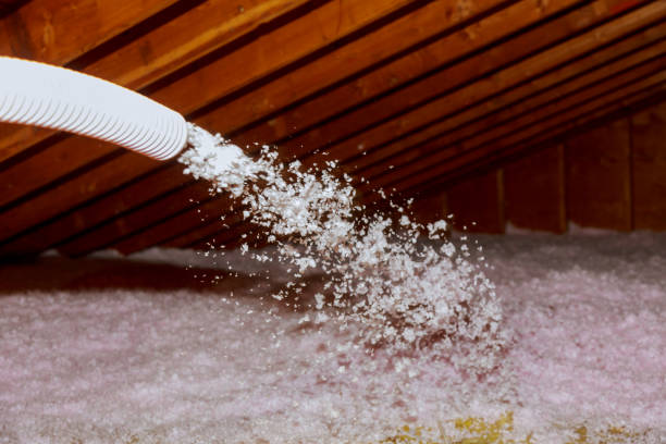 Best Insulation Inspection Services  in Las Quintas Fronterizas, TX