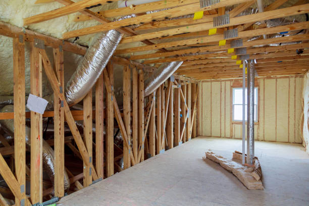 Best Spray Foam Insulation  in Las Quintas Fronterizas, TX