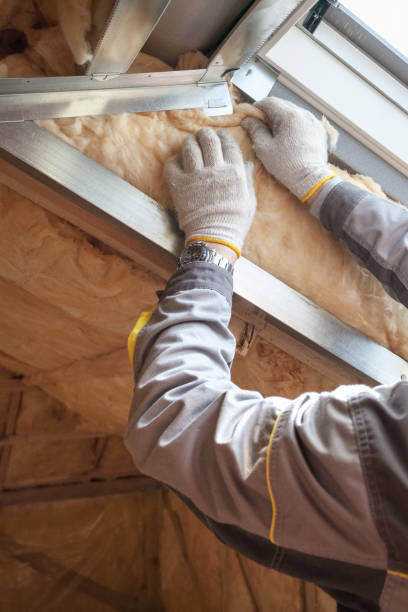 Best Garage Insulation Installation  in Las Quintas Fronterizas, TX