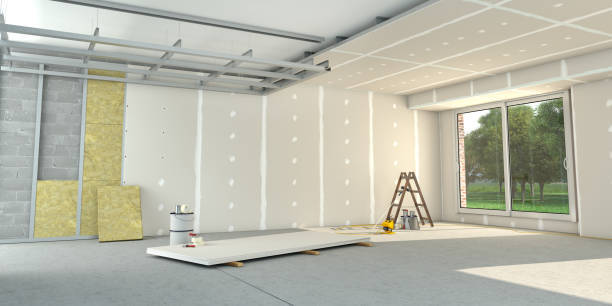Best Insulation for New Construction  in Las Quintas Fronterizas, TX