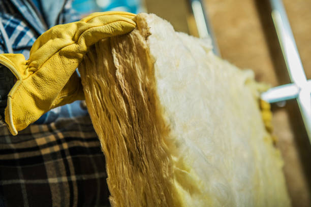 Best Cellulose Insulation  in Las Quintas Fronterizas, TX