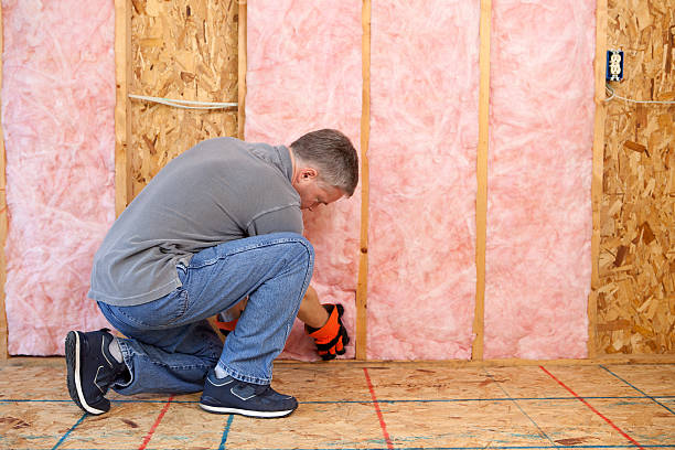 Best Blown-in Insulation  in Las Quintas Fronterizas, TX