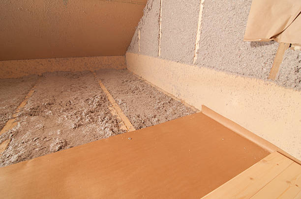 Best Insulation Repair Services  in Las Quintas Fronterizas, TX