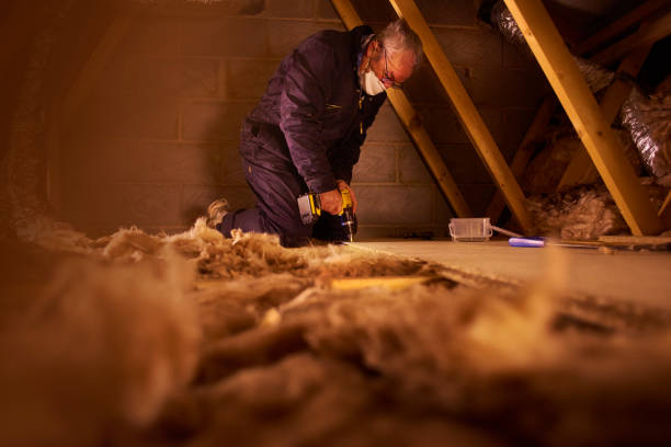 Best Insulation Removal  in Las Quintas Fronterizas, TX